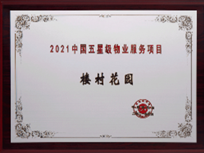 公司奖项荣誉