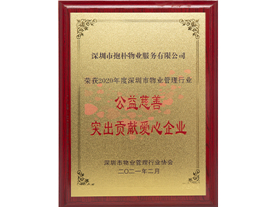 社会公益奖牌
