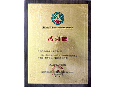 社会公益奖牌