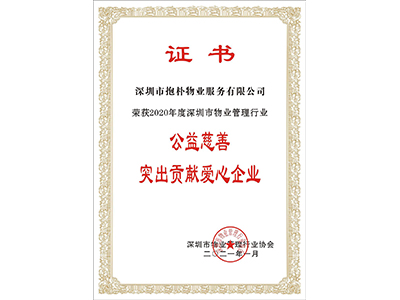 社会公益奖牌