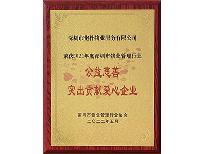 社会公益奖牌
