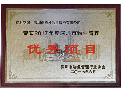 项目荣誉牌匾