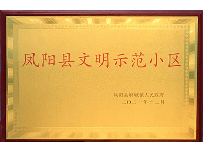 项目荣誉牌匾