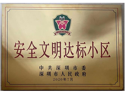 项目荣誉牌匾
