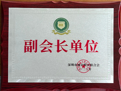社会公益奖牌