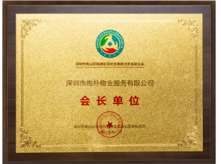 社会公益奖牌