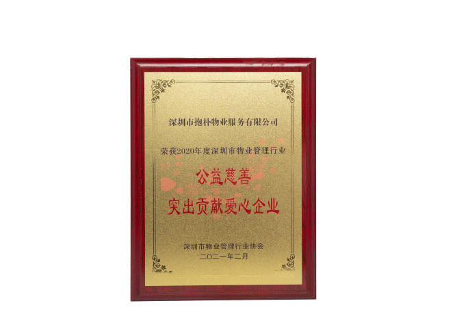社会公益奖牌