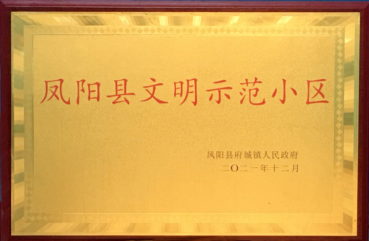 项目荣誉牌匾